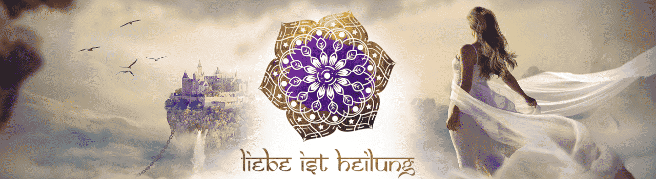 lih2019_seitenheader_venuscoaching lih2019_seitenheader_venuscoaching