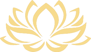 lotus_300 lotus_300